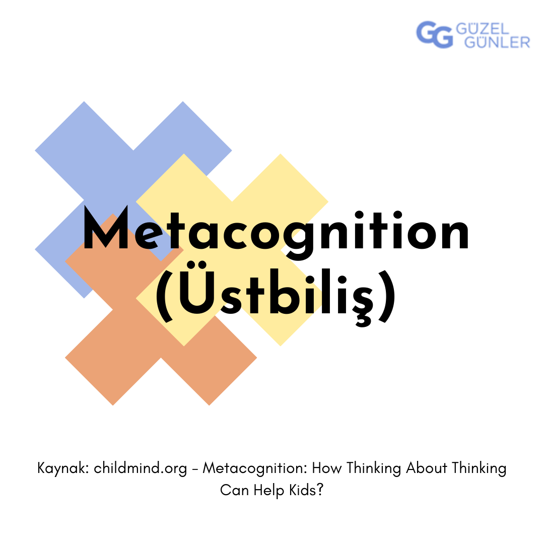 ae- metacognition